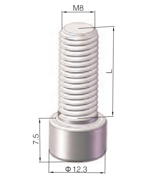 Hexagon socket head bolts M8*20 zinc plated